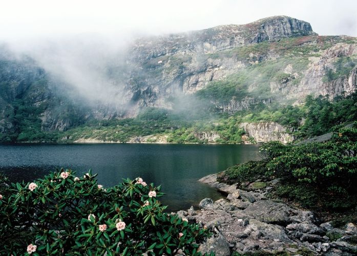 柳州翡翠湾位置指南：探索这一自然景观的完美旅游胜地