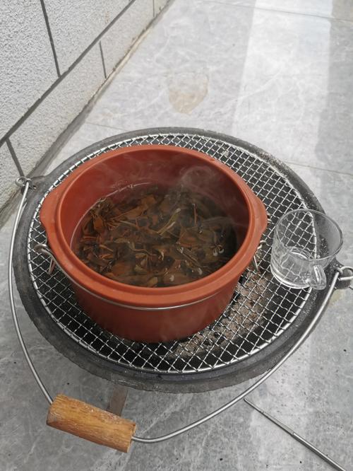 什么茶适合烤茶