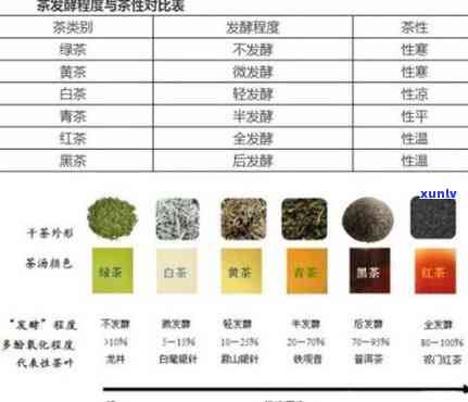 发酵茶的种类与特点