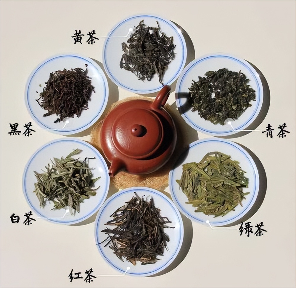 探索各种发酵茶的奥秘：从绿茶、红茶到乌龙茶和普洱茶的全面指南