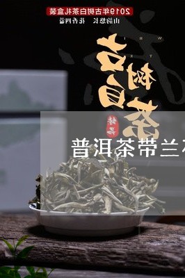 兰茶园精选普洱茶香韵悠长