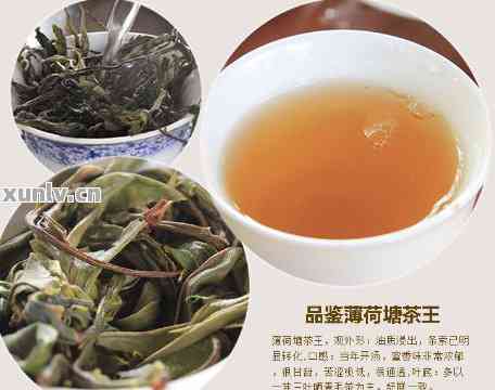 '普洱茶和薄荷泡水的功效'