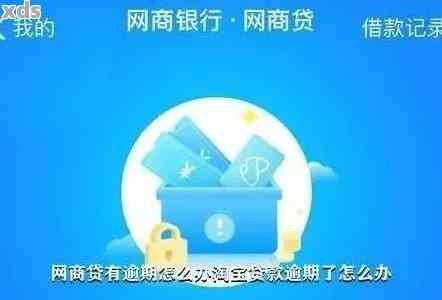 欠支付宝网商贷8万怎么办