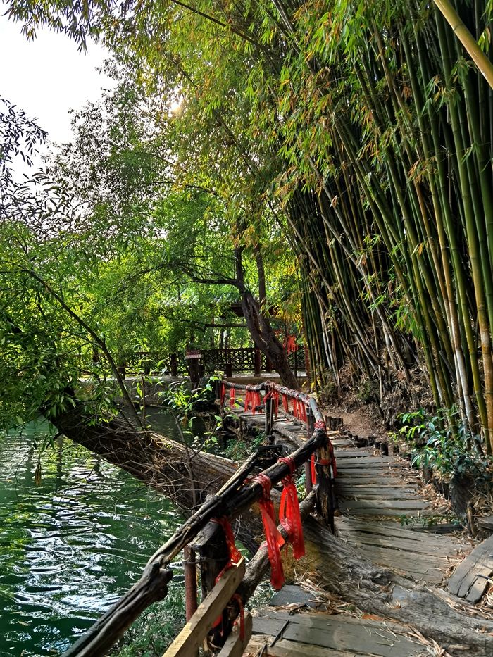 现在可以去探索普洱茶马古道吗？探索云南茶马古道的全面指南