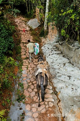 现在可以去普洱茶马古道玩吗-现在可以去普洱茶马古道玩吗最近