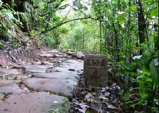 探索普洱茶马古道：发现隐藏在山间的迷人景点