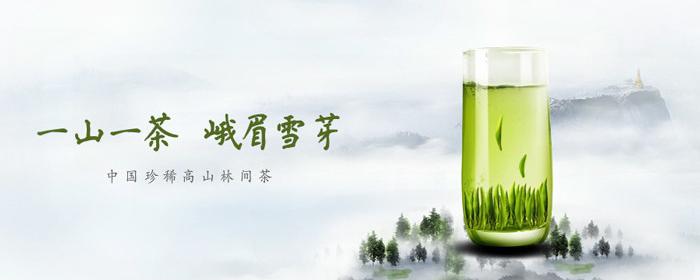 峨眉山雪芽茶属于绿茶类。