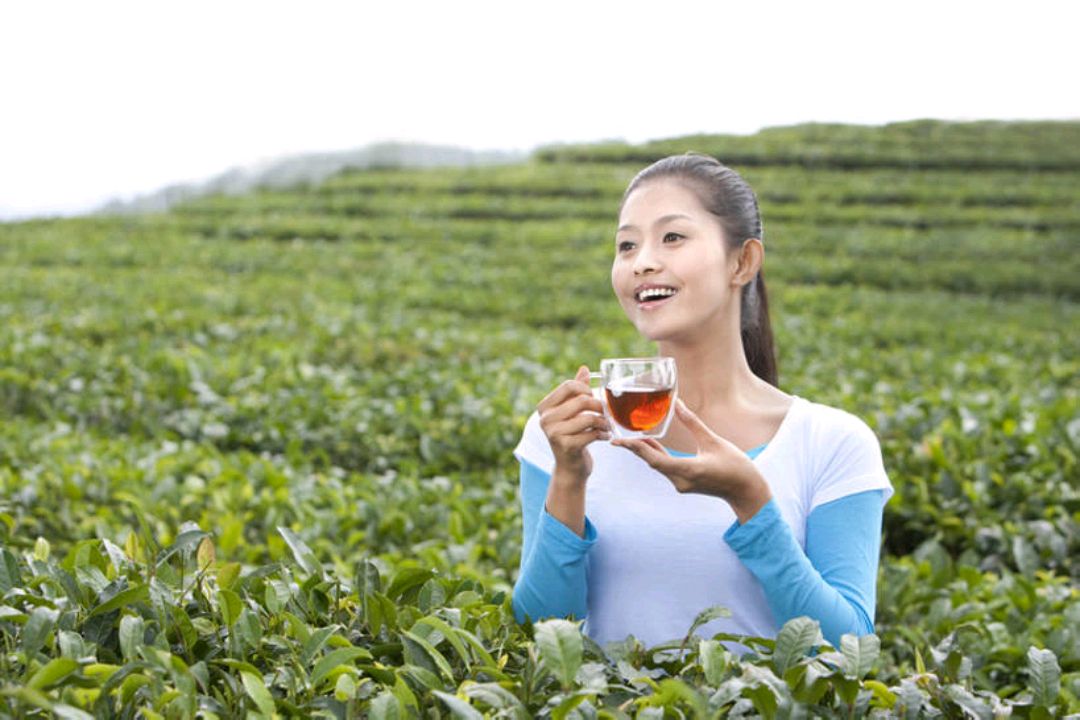 月经期间不宜饮用的茶饮指南