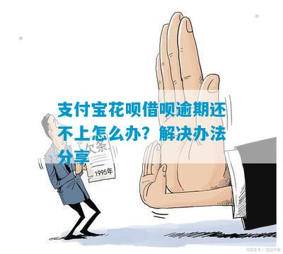 还不上花呗借呗怎么办解决方法