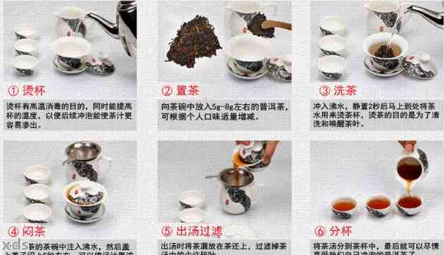 如何迅速泡出美味普洱茶：专家级冲泡技巧与步骤指南'