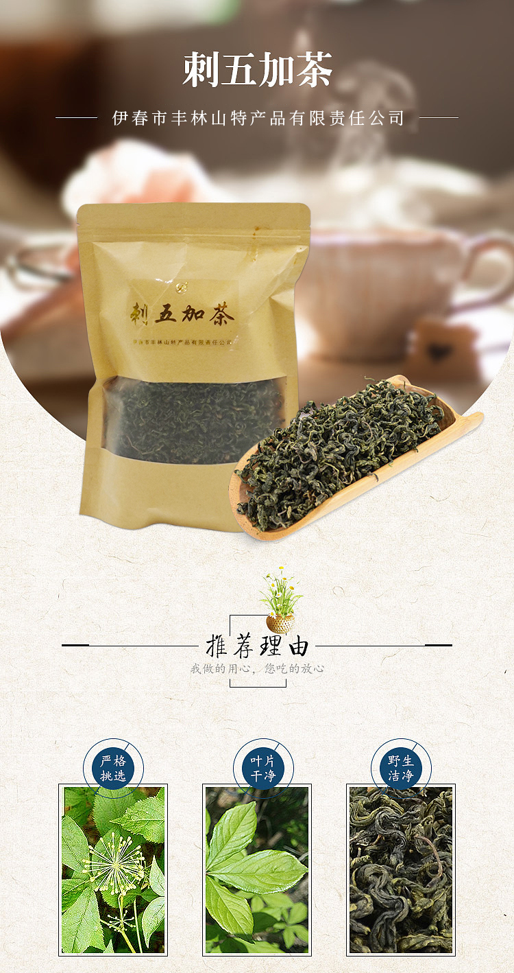 天能喝刺五加茶吗