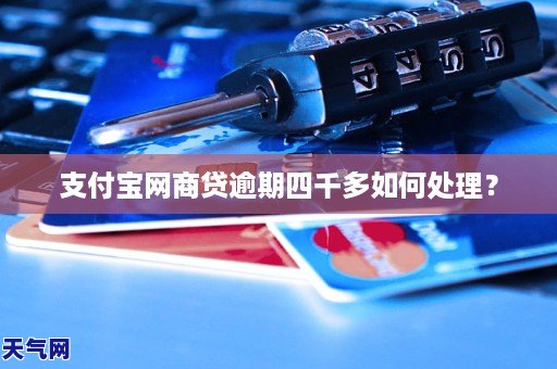 支付宝网商贷3000逾期需要怎么处理