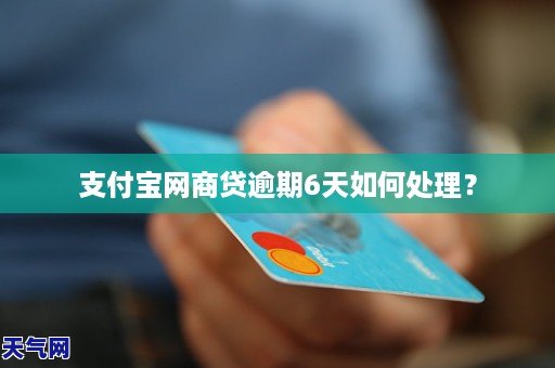 支付宝网商贷3000逾期需要怎么处理