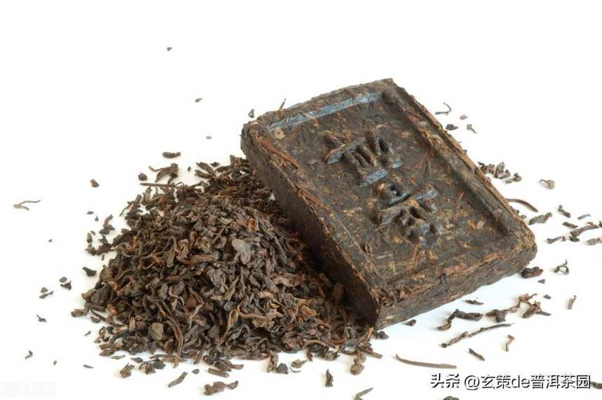 新普洱茶的分类与鉴：普洱散茶与紧压茶的区分与品鉴指南