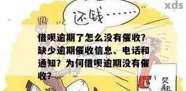 让今天必须还款