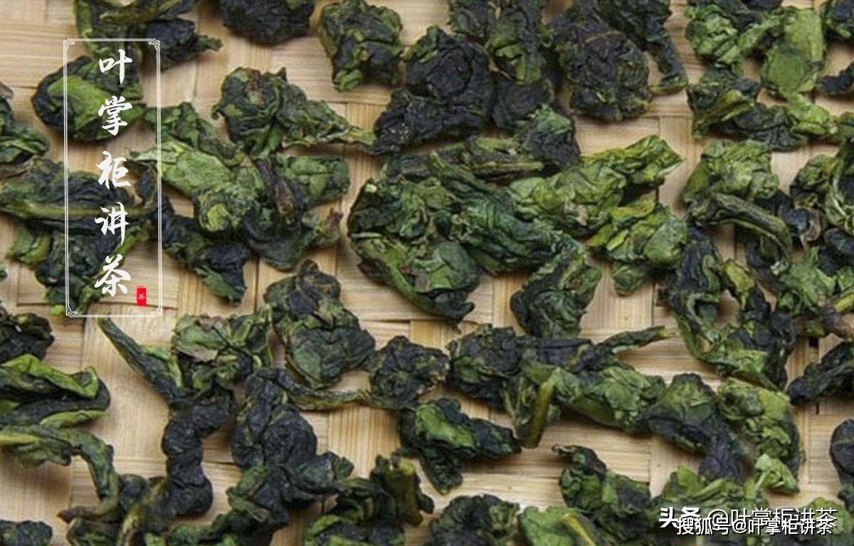 铁观音茶的熟制与生制比较研究