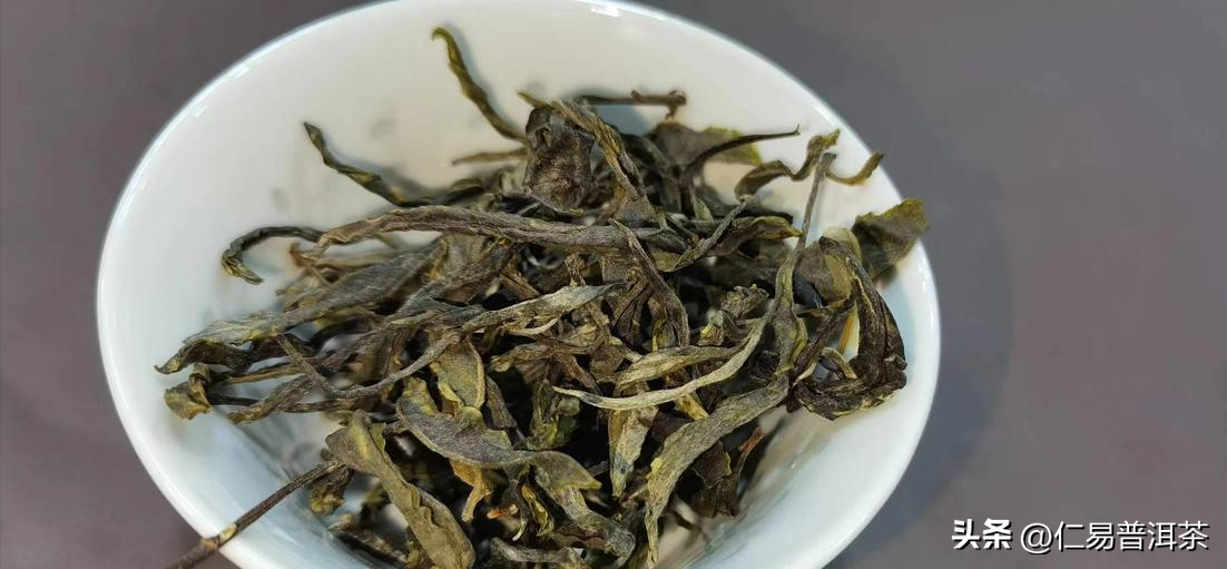 探索普洱茶魅力：为什么选择这种古老茶类？