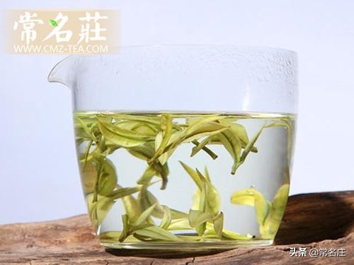 茶品更换频率指南：探索不同茶叶的饮用周期