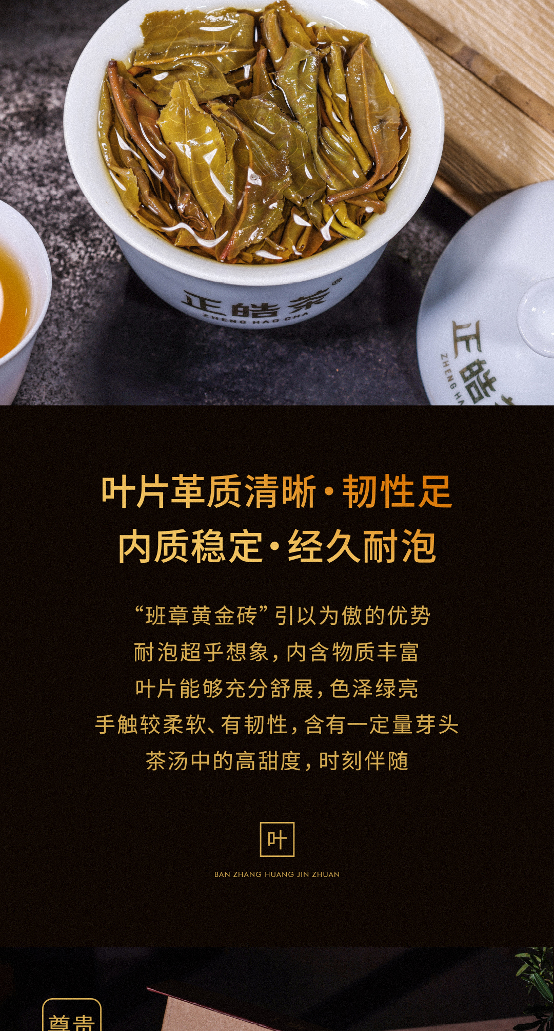 探寻新班章茶的独特风味与黄金砖老班章的口感之旅