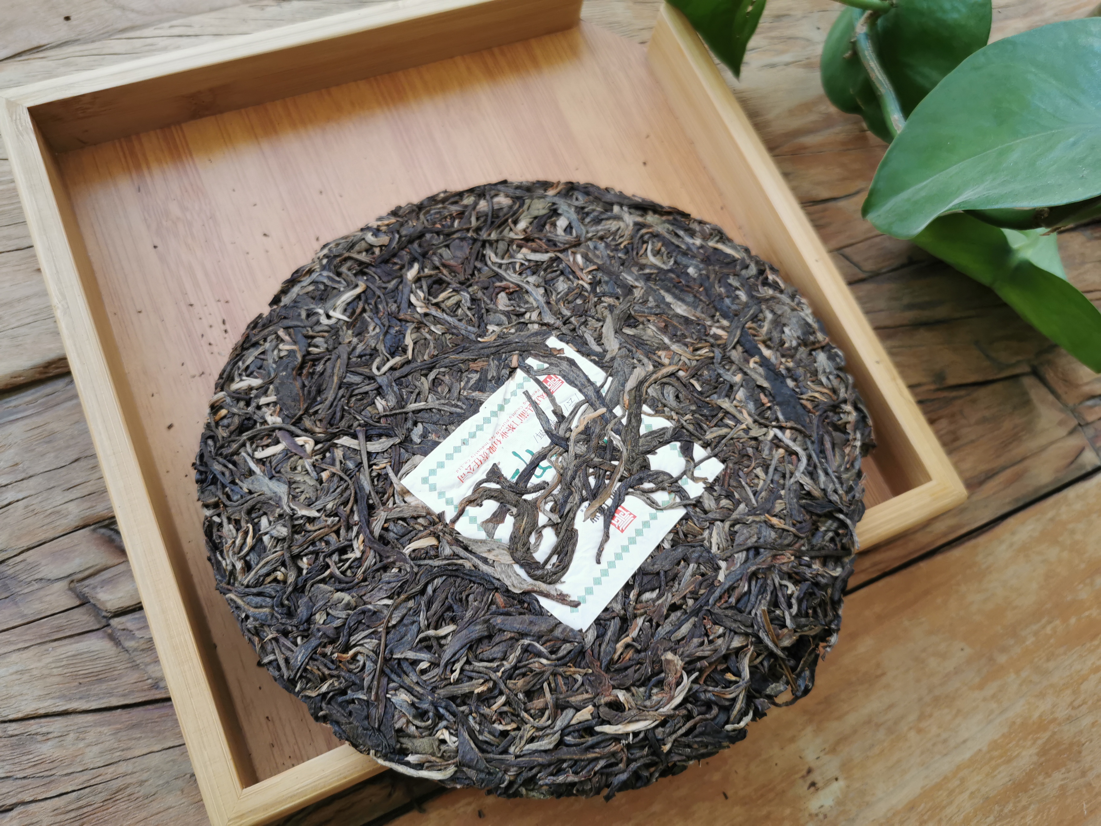 普洱茶原料来源：绿茶还是红茶？探索普洱茶的制作之谜