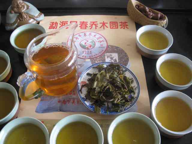 普洱茶原料是绿茶吗