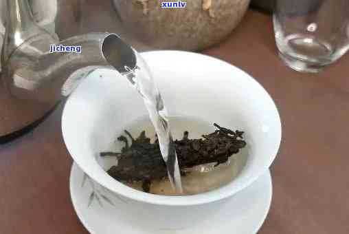 清水泥泡普洱茶：全面解析茶的冲泡与品鉴