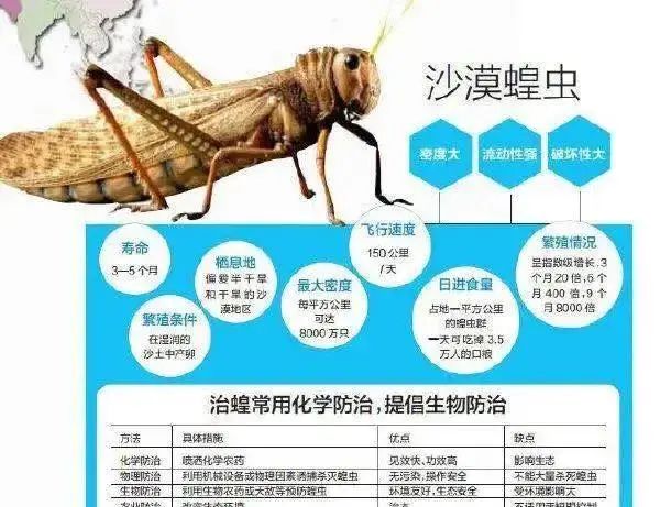 云南迎来蝗虫新入侵，专家紧急关注生态安全