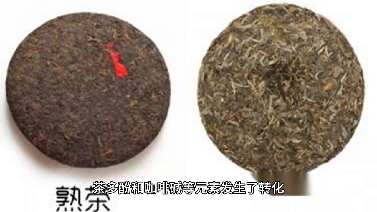 冬可以喝普洱茶吗