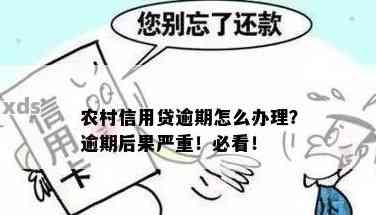 农信银行贷款逾期后果严重吗