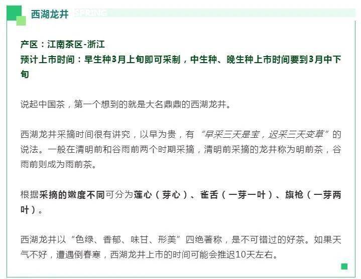 2021年普洱春茶上市时间表与品质指南