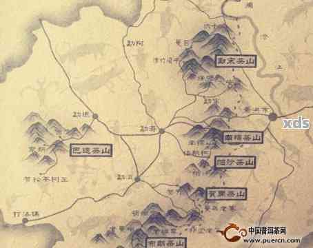 普洱茶四大山头详解：从历、地理到鉴指南