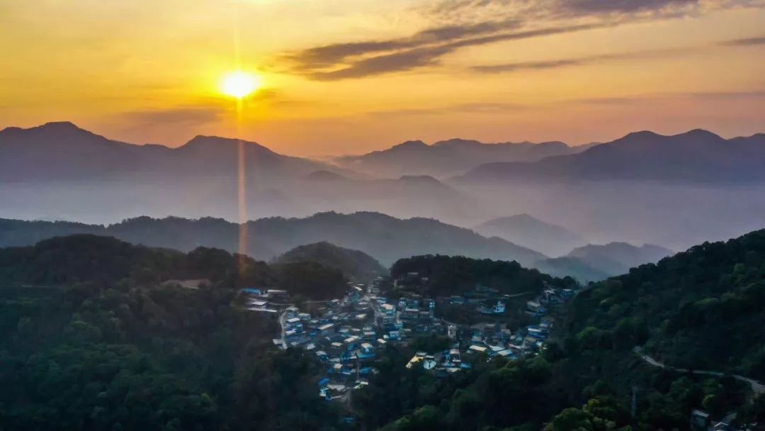 普洱茶四大山头茶是哪四个