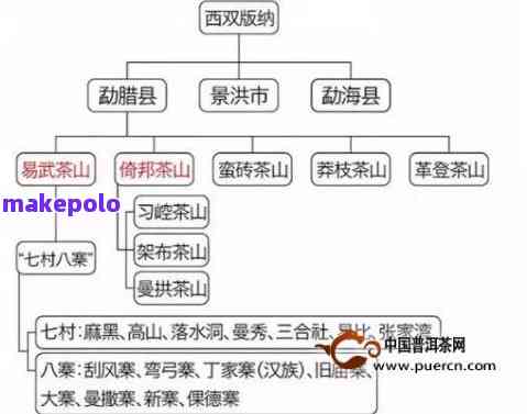 探索普洱茶的奥秘 - 十大名山头全攻略