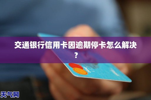 招行信用卡逾期怎么调解解决