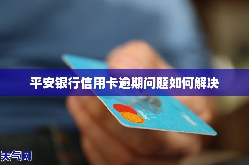 招行信用卡逾期怎么调解解决