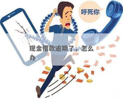 现金借款逾期一个月会怎样