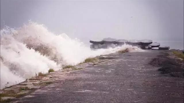 沼泽地图：探索全球最危险的自然奇观