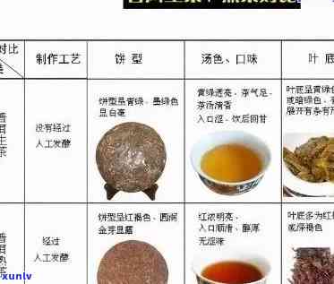 大益普洱茶热量解析: 一杯茶的卡路里与健效益评估