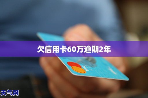 信用卡欠款60万该怎么办