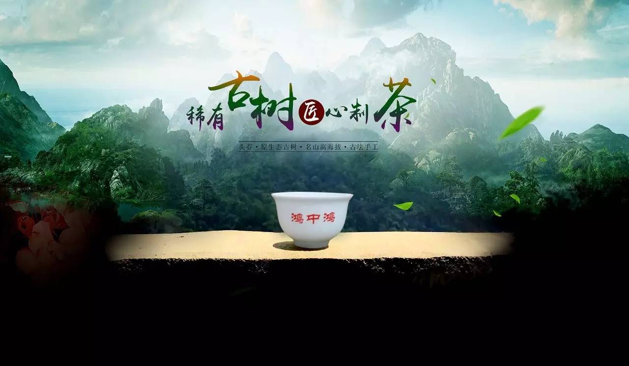 普真传承系列普洱茶有些什么？