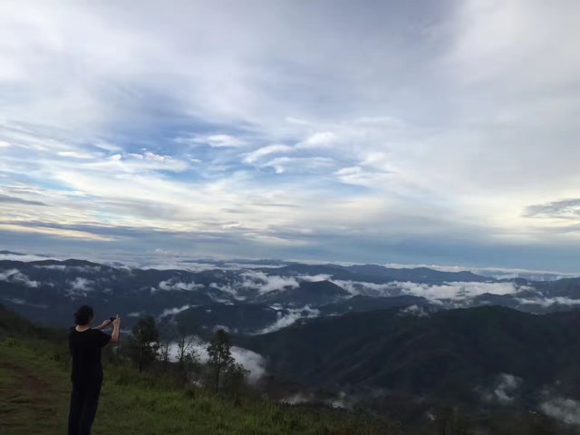 普洱茶可以晚上和吗