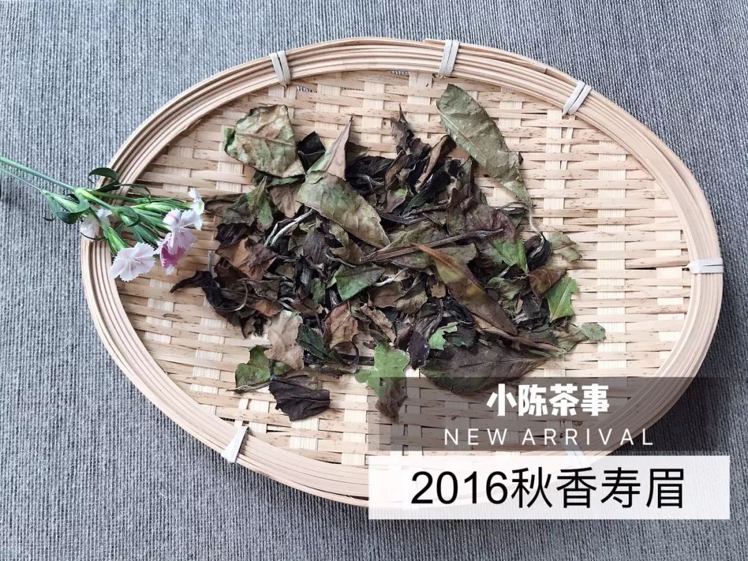 普洱茶口感异常淡之迷