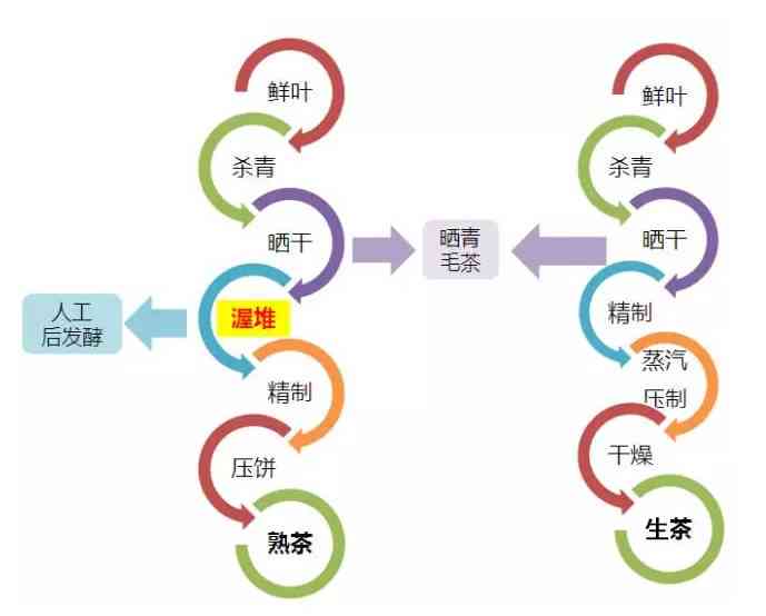 普洱茶转化过快的多方面影响及应对策略