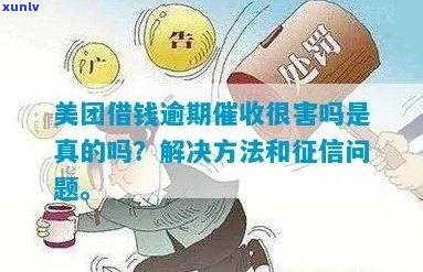 金美信逾期最新规定解读