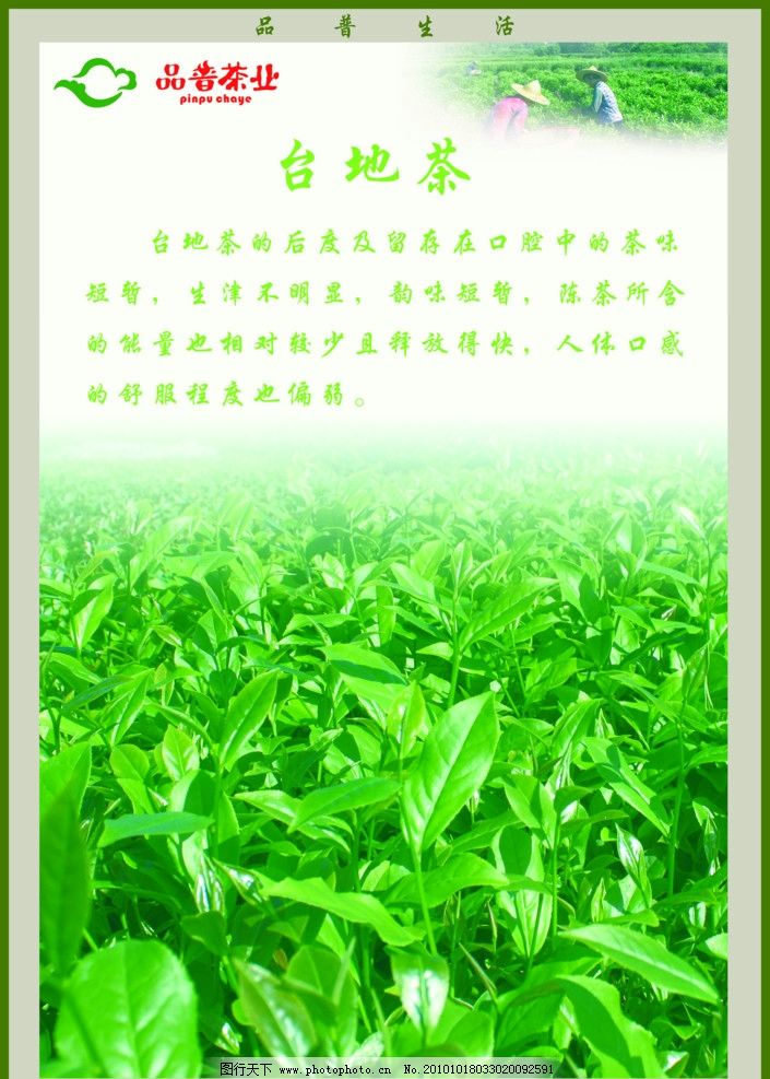 普茶业在线商城 - 探索和购买顶级普洱茶