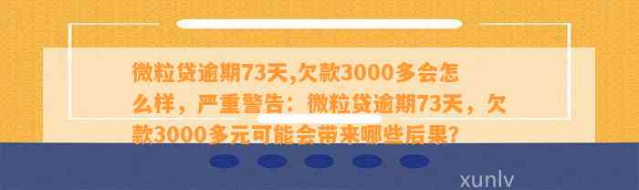 微立贷欠款3000元不还怎么办