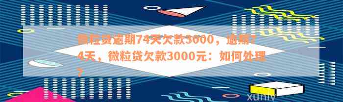 微立贷欠款3000元不还怎么办