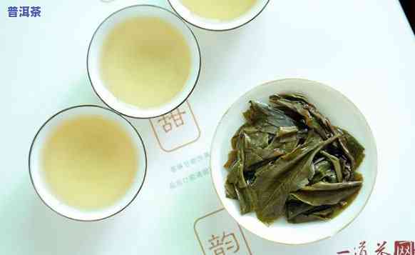 品茶师牌普洱茶的品鉴与评价