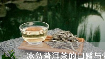 冰岛口粮普洱茶的饮用指南