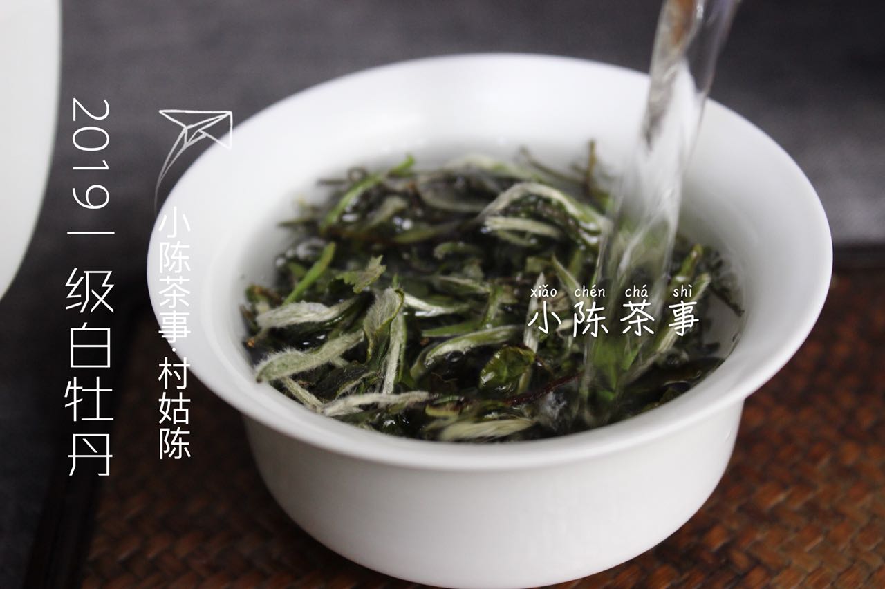 探讨岩茶与普洱茶的可比性：两者在风味和制作工艺上的差异